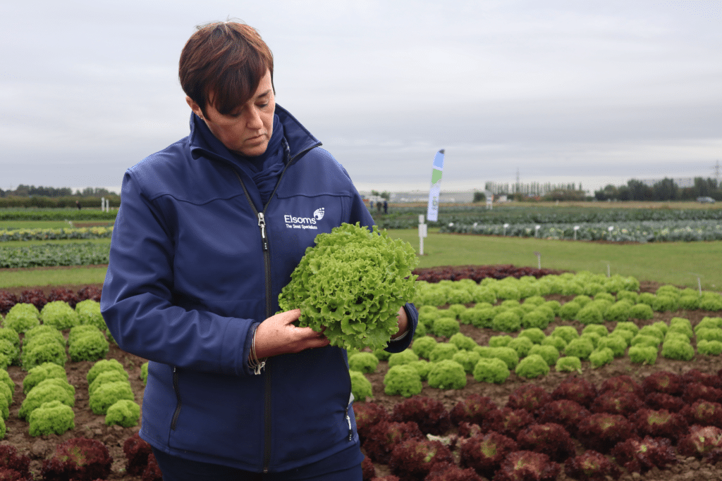 Lisa holding Lollo rosse salad variety