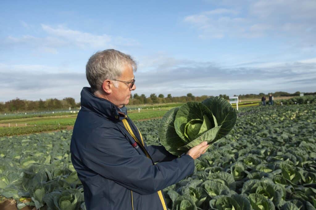 Andrew Vincent inspecting a vegetable in a field, representing British seed suppliers Elsoms