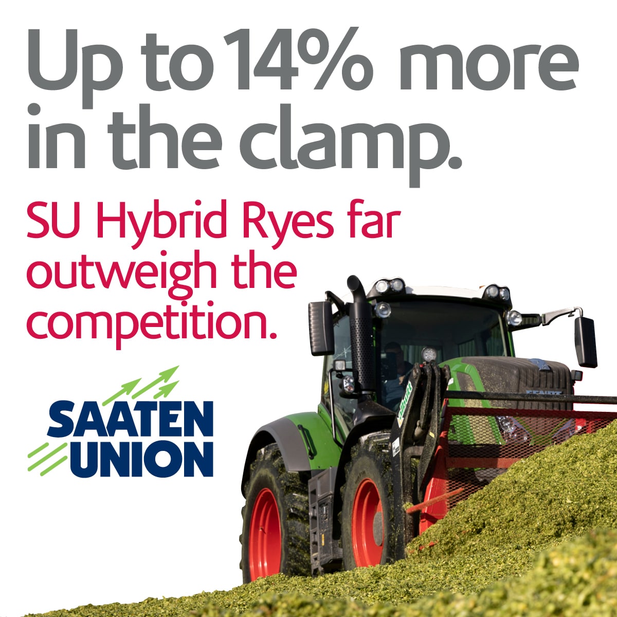 Hybrid Rye Trial Data – Elsoms and Saaten Union