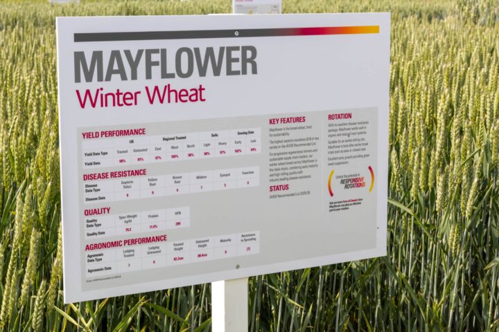 Mayflower Performance Guide